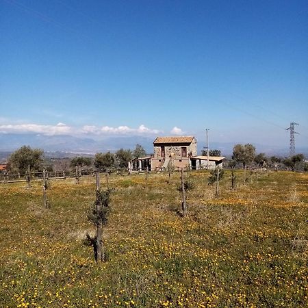 La Giara B&B San Demetrio Corone Exterior photo