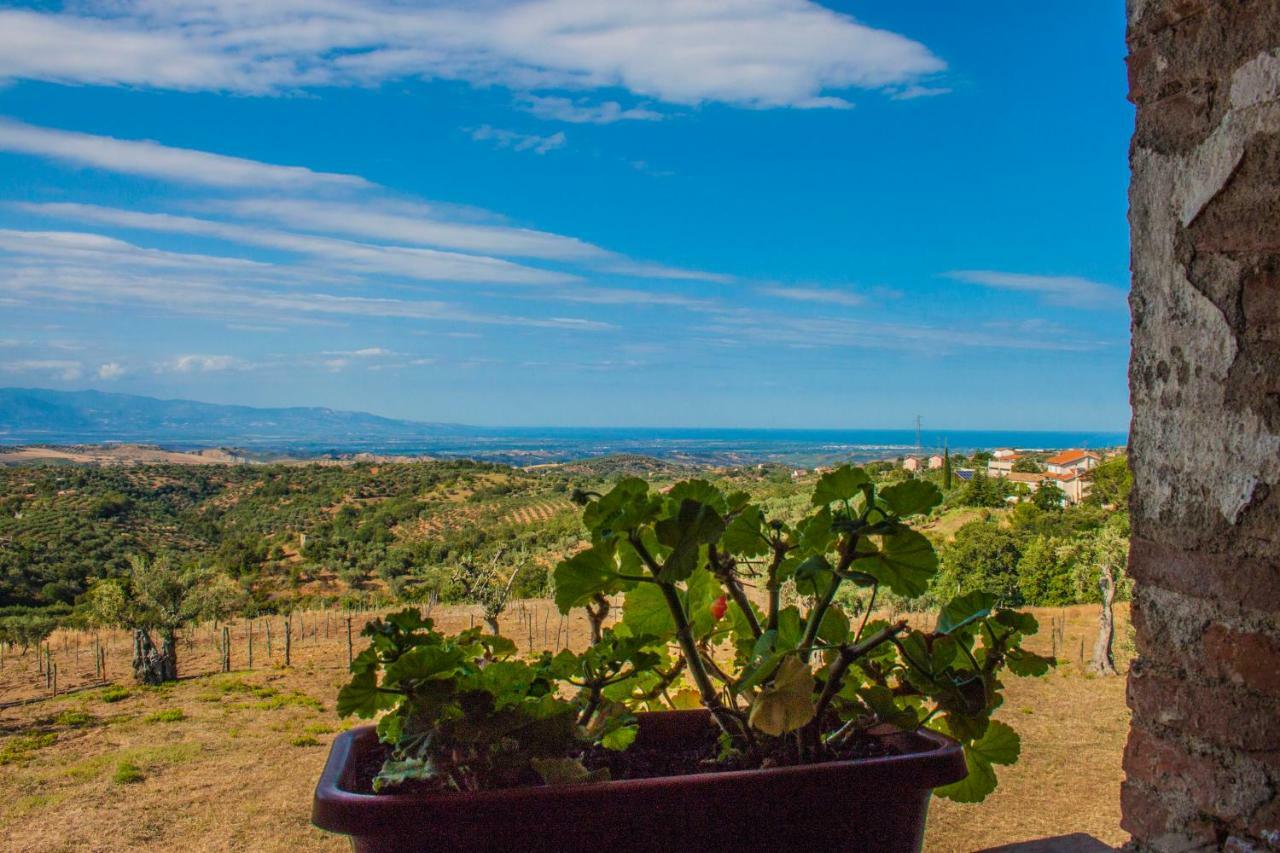 La Giara B&B San Demetrio Corone Exterior photo